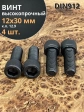 Винт высокопрочный ПР М12х30 мм к.п.12.9 черный DIN912, 4 шт.