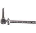 Винт нержавеющий 4х6 мм РН DIN7985, 50 шт.