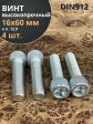 Винт высокопрочный М16х60 мм к.п.12.9 DIN912 ОЦ, 4 шт.