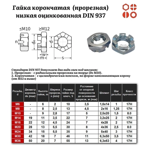 Гайка корончатая (прорезная) низкая М6 DIN 937-1 (17H) оцинкованная, 500 шт. фото 3