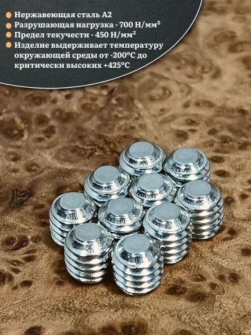 Винт установочный нержавеющий М8х8 DIN913 (гужон), 10 шт. фото 3